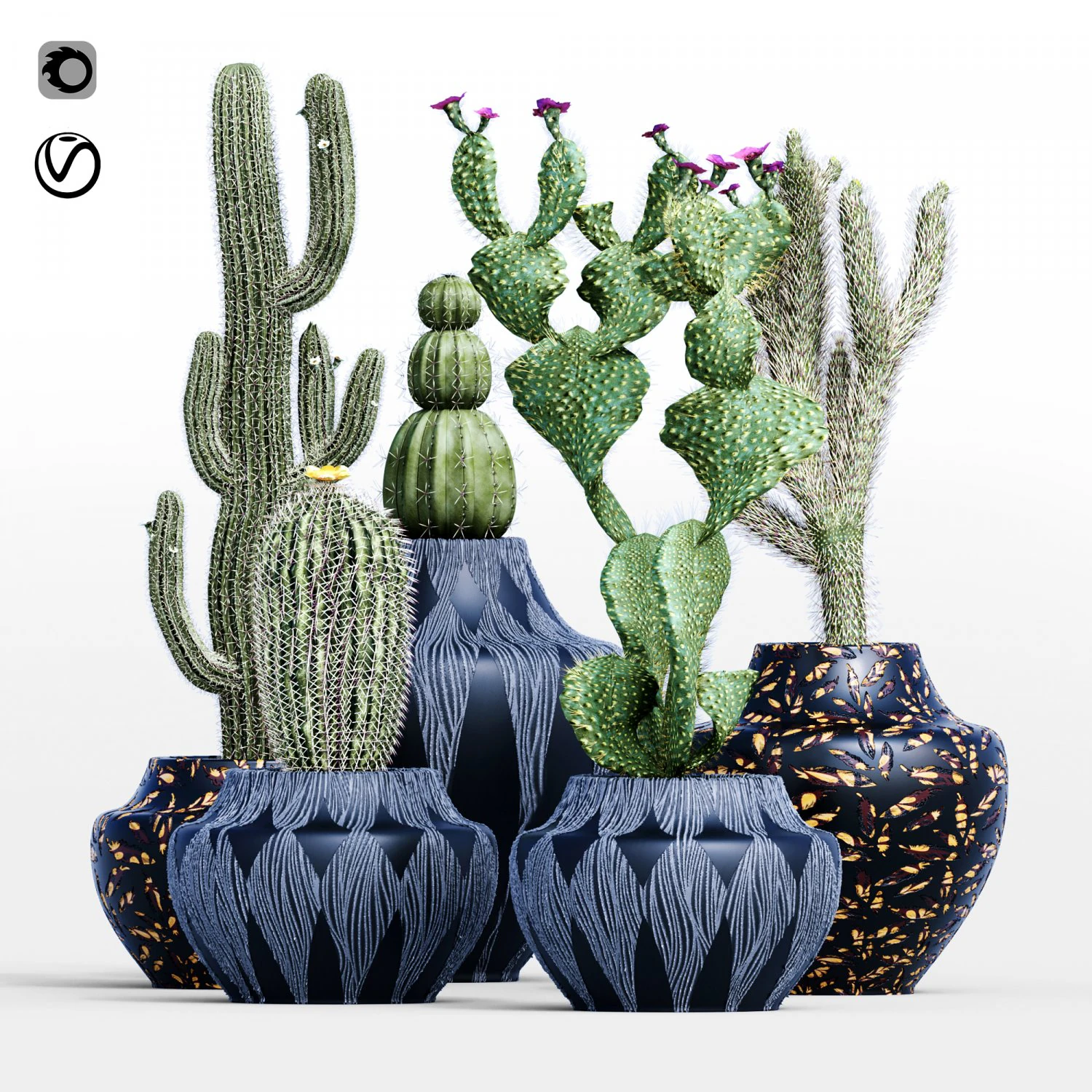 cactus collection-001 3D Model .c4d .max .obj .3ds .fbx .stl .blend