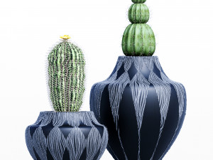 cactus collection-001 3D 모델