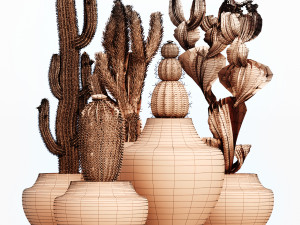 cactus collection-001 3D 모델