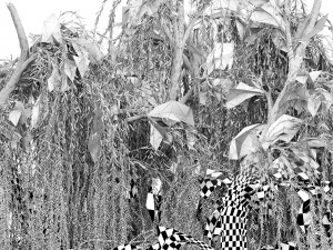 Weeping willow Modelo 3D