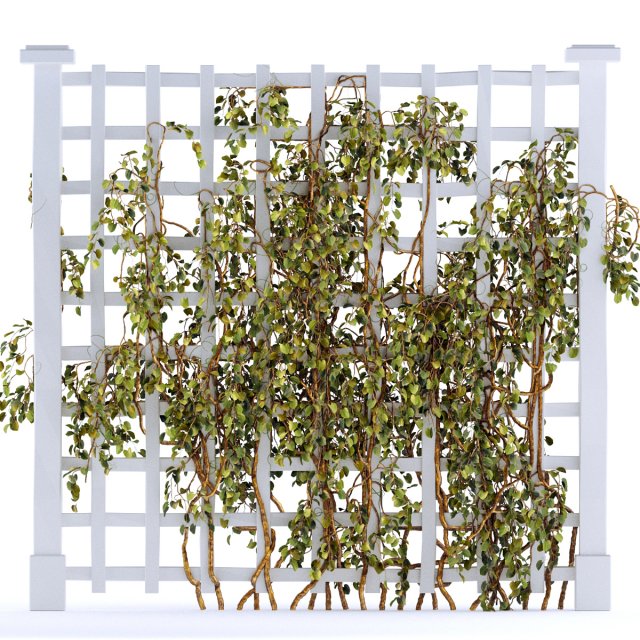 Trellisgrowth 3D 모델 .c4d .max .obj .3ds .fbx .stl .blend 