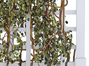 Croissance du treillis Modèle 3D