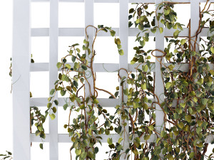 Trellisgrowth 3D 모델