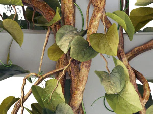 Croissance du treillis Modèle 3D