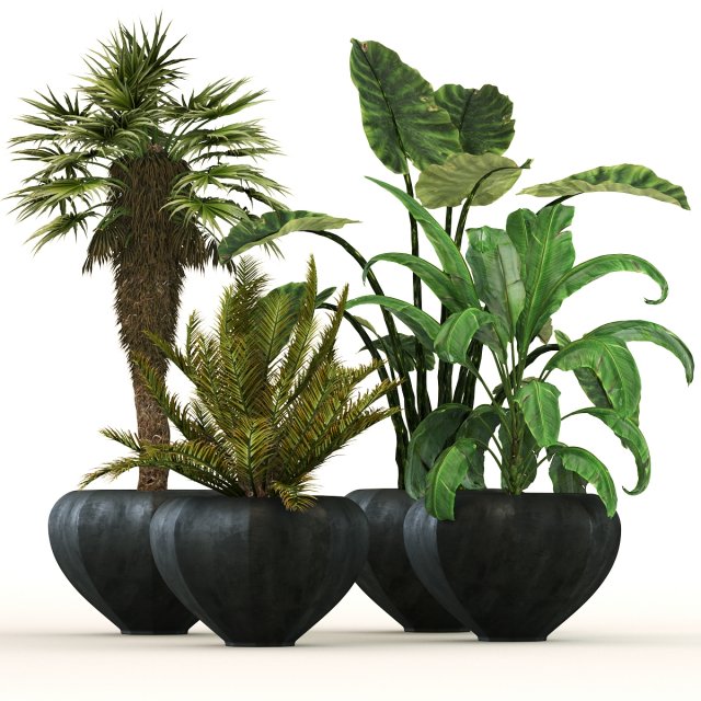Plant-01 3D 模型 .c4d .max .obj .3ds .fbx .stl .blend 