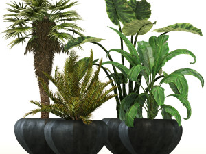 Plant-01 3D Model