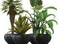 Plant-01 3D मॉडल