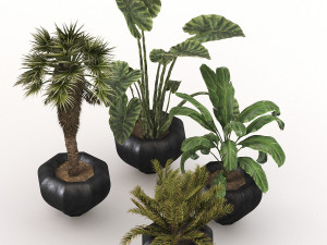 Plant-01 3D 模型