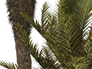 Plante-01 Modèle 3D