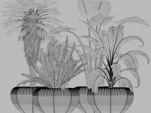 Plant-01 3D 模型