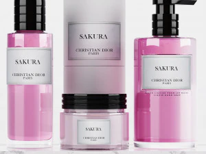 Meson christian dior - bathroom accessories 3D Model