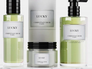 Meson christian dior - bathroom accessories 3D Model