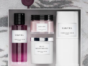 Meson christian dior - bathroom accessories 3D Model