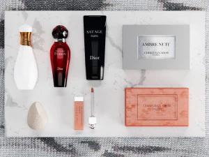 Meson christian dior - bathroom accessories 3D Model