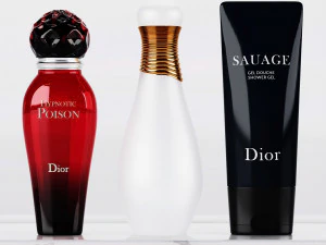 Meson christian dior - bathroom accessories 3D Model