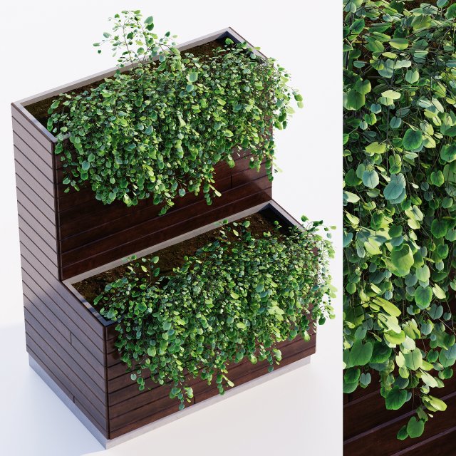 Outdoor plant Modèle 3D .c4d .max .obj .3ds .fbx .stl .blend 