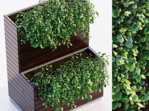 Outdoor plant 3D 모델
