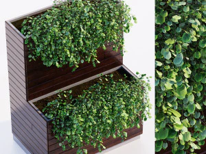 Tanaman luar ruangan Model 3D