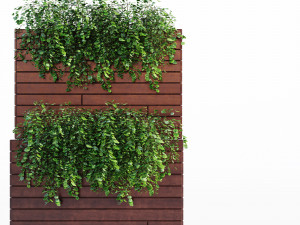 Outdoor plant Modèle 3D