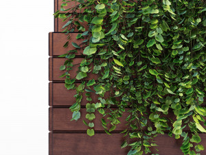 Outdoor plant Modèle 3D