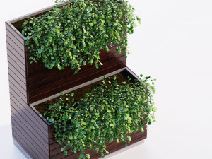 Outdoor plant Modèle 3D