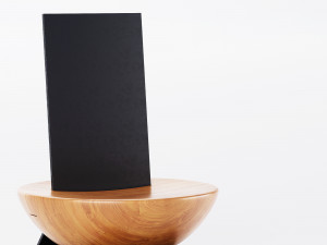 Solo chair 3D Model