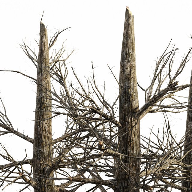 5 burnt tree collection 3D Model .c4d .max .obj .3ds .fbx .stl .blend 