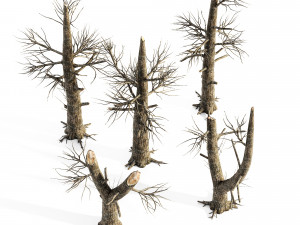 5 burnt tree collection 3D Model