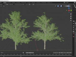 2diffrent tree maple 2 trees models in the scene 3D Model