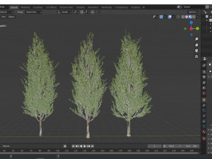 3diffrent tree lombardy poplar 3 trees models in the scene 3D-Modell
