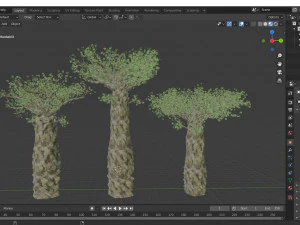 3diffrent tree madagascan baobab 3 trees models in the scene 3D Model