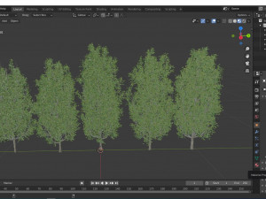 5diffrent tree cypress oak 5 trees models in the scene 3D 模型