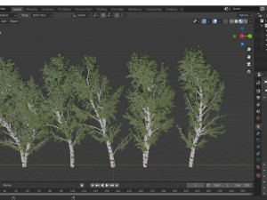 5diffrent tree white birch 5 trees models in the scene 3D 모델