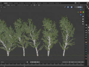 5diffrent tree white birch 5 trees models in the scene 3D Model