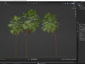 New Plant High detail Acoelorrhaphe Wrightii Medium 3D Модель