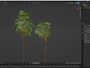 New Plant High detail Acoelorrhaphe Wrightii Medium 3D Модель