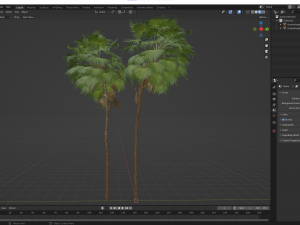 New Plant High detail Acoelorrhaphe Wrightii Tall 3D Модель
