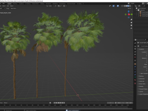 New Plant High detail Acoelorrhaphe Wrightii Tall 3D Модель