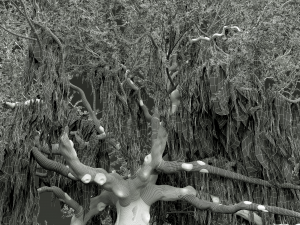 New Plant High detail Angel Oak Live Tree Lying Floor Modèle 3D