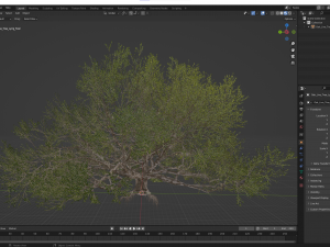 New Plant High detail Angel Oak Live Tree Lying Floor Modèle 3D