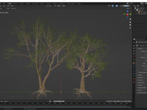 New Plant High detail Angel Oak Live Tree02 3D Model