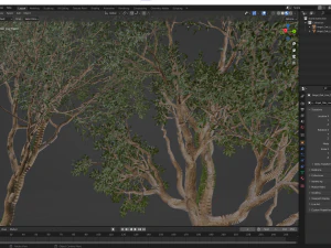 New Plant High detail Angel Oak Live Tree02 3D Model