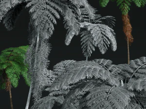 New Plant High detail Sphaeropteris Lepifera02 3D Model