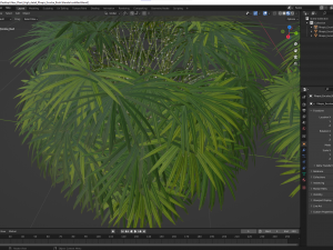 New Plant High detail Rhapis Excelsa Bush Model 3D