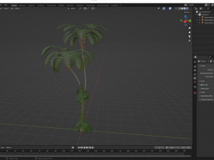 New Plant High detail Sphaeropteris Lepifera 3D-Modell