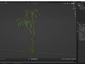 New Plant High detail Sphaeropteris Lepifera 3D Model