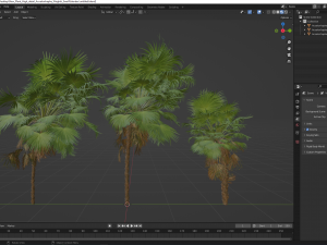 New Plant High detail Acoelorrhaphe Wrightii Small 3D 模型