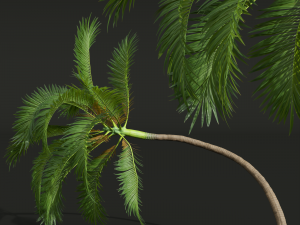 New Plant High detail Areca Catechu 3D मॉडल