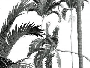 New Plant High detail Areca Catechu 3D मॉडल