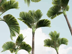 New Plant High detail Areca Catechu Decorative Garden 3D Модель